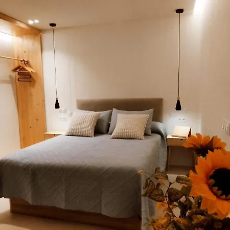 Apartment Estudio Centro De La Laguna